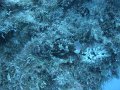 DSC02247