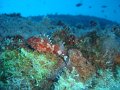 DSC02248