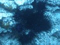 DSC01473