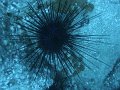 DSC02028