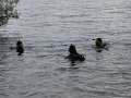 IMG_4253